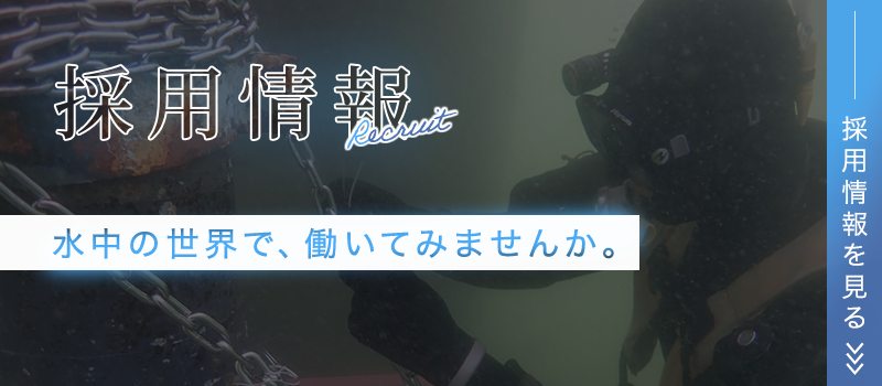 採用情報
